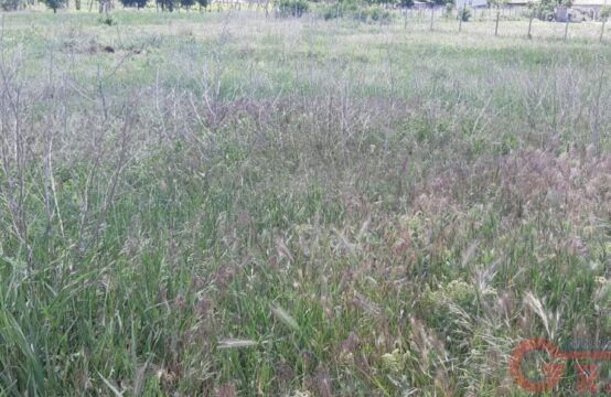 Se vinde lot de pămînt s. Roșu