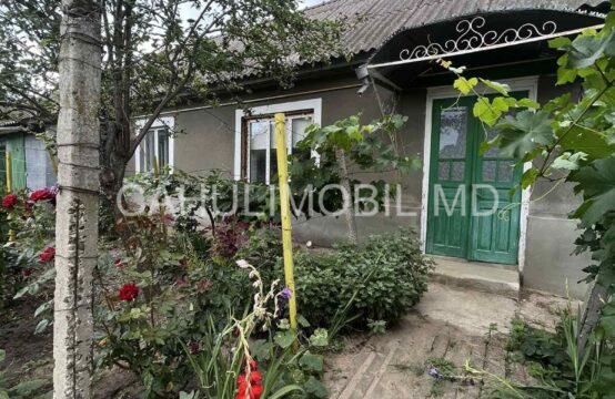 Se vinde casă în satul Ursoaia
