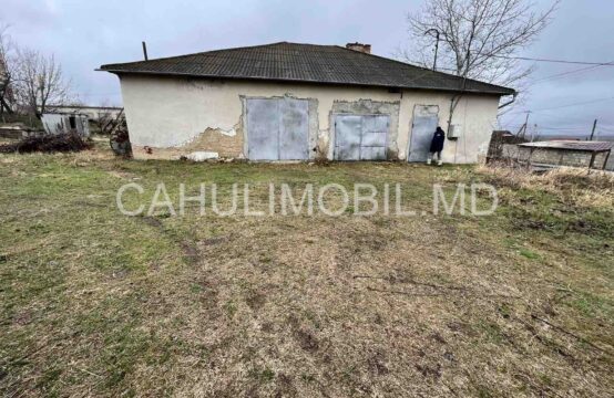 Se dă în chirie autoservice în satul Roșu