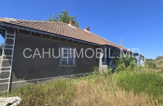 Продается дом село Слобозия Маре