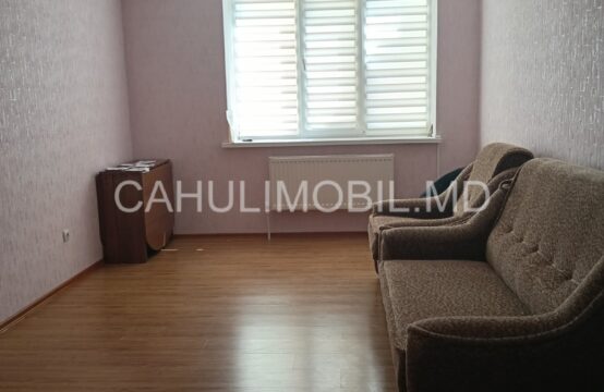 Spre chirie apartament cu 2 camere în bloc nou, Centru