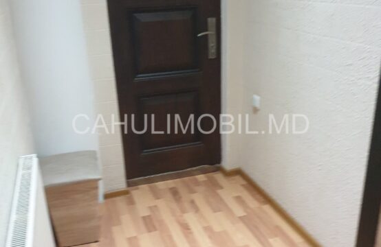 Spre chirie apartament cu 2 camere Centru